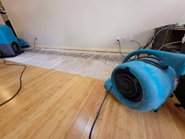 Professional Basement Flood Cleanup technician working in Hudson, CO